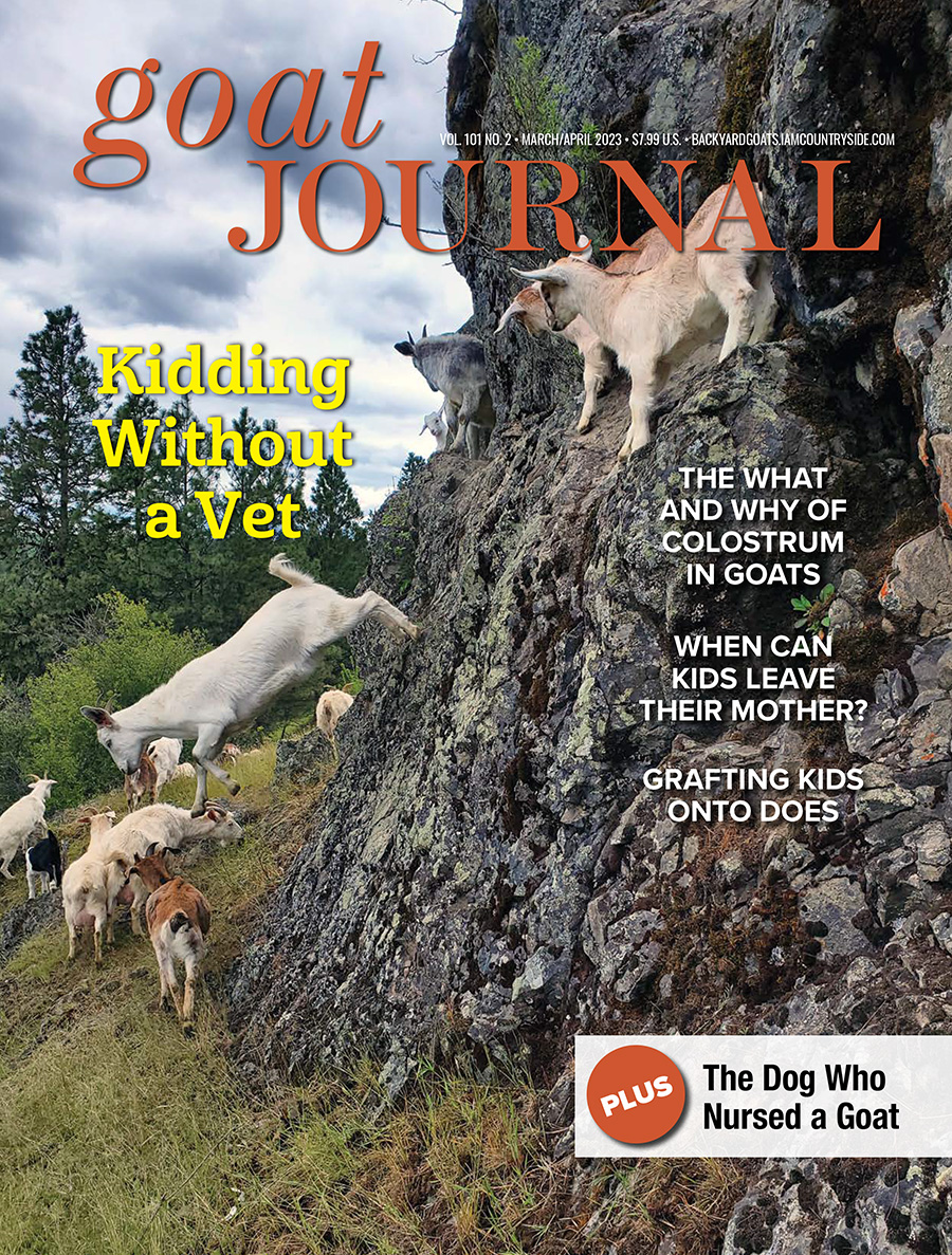 Goat Journal